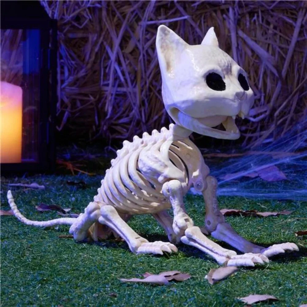 Cat Skeleton Halloween Decorations 8 Inch Plastic Animal Skeletons with